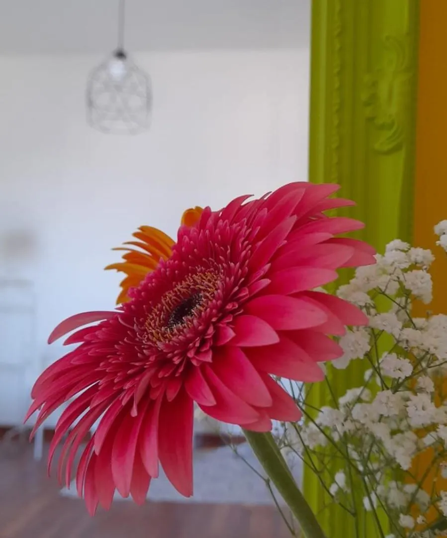 Sole Amare Guest House Bari Appartamento